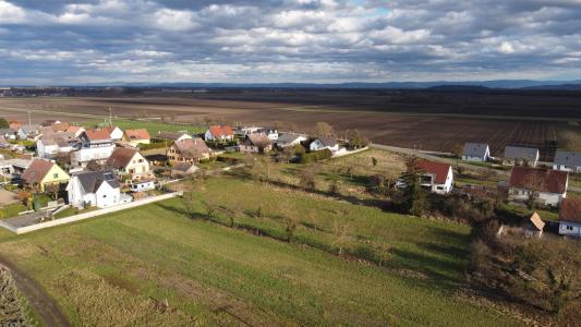 Vente Terrain GRUSSENHEIM 68320