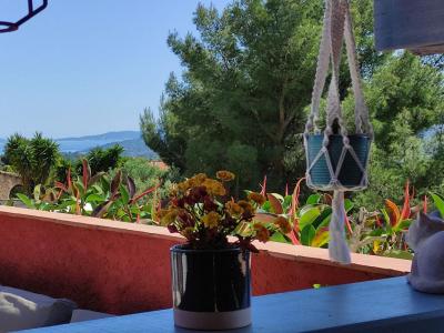 Vente Maison 16 pices BORMES-LES-MIMOSAS 83230