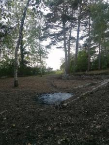 Vente Terrain COLLONGES-LES-BEVY 21220