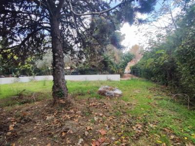 Vente Terrain SAINT-ANDRE-DE-SANGONIS 34725