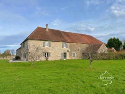 Vente Maison 11 pices VIC-DE-CHASSENAY 21140