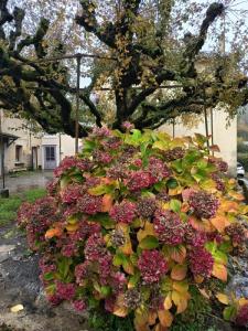 Vente Maison 4 pices LACOMBE 11310