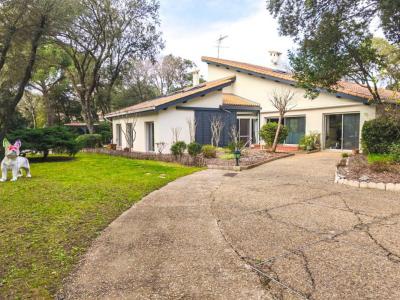 Vente Maison 6 pices SAINT-JEAN-DE-VEDAS 34430