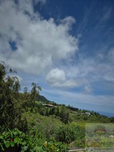 Vente Maison 5 pices MAKES 97421