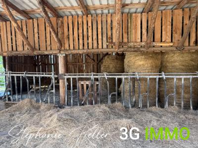 Vente Maison 5 pices LIEPVRE 68660