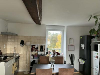 Location Appartement 3 pices MAYENNE 53100