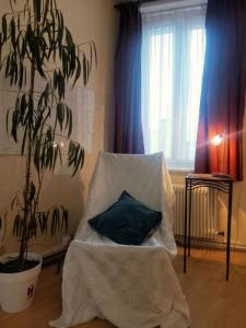 Vente Maison 5 pices RONCHIN 59790