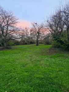 Vente Maison 6 pices GLENOUZE 86200