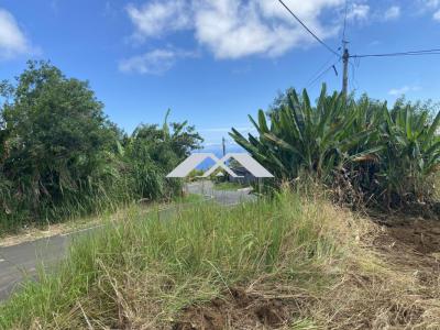 Vente Terrain SAINT-JOSEPH 97480