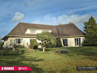 Vente Maison 8 pices AIGLE 61300