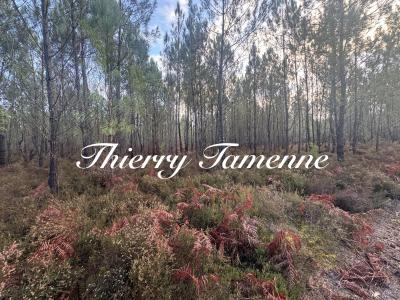 Vente Terrain BALIZAC 33730