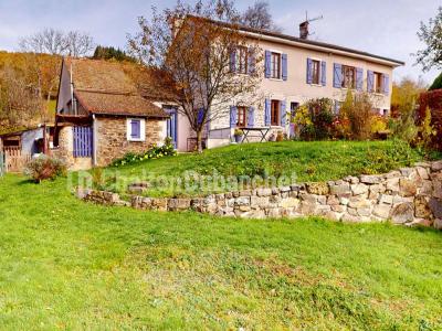 Vente Prestige SAINTE-AGATHE-EN-DONZY 42510