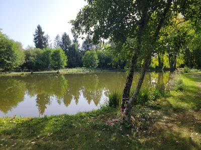 Vente Maison 11 pices LUSSAC-LES-CHATEAUX 86320