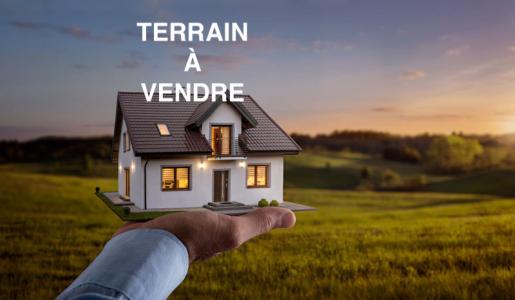 Vente Terrain SOGNOLLES-EN-MONTOIS 77520