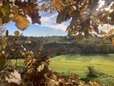 Vente Terrain ISLE-JOURDAIN 32600