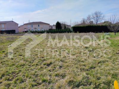 Vente Terrain GAILLAC 81600