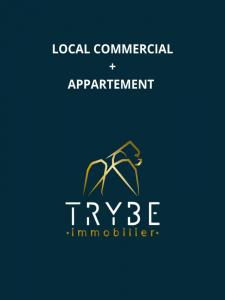 Vente Immeuble AUMALE 76390