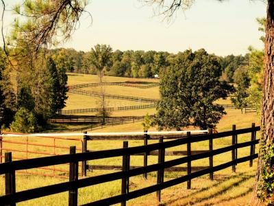 Vente Prestige VICHY 03200