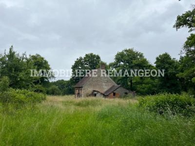 Vente Maison 2 pices SAINT-VIATRE 41210