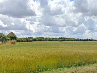 Vente Terrain CAUVICOURT 14190