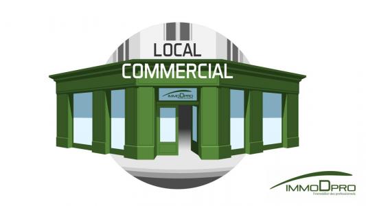 Vente Local commercial LONDINIERES 76660