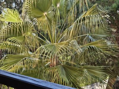 Vente Appartement 2 pices LINGUIZZETTA 20230