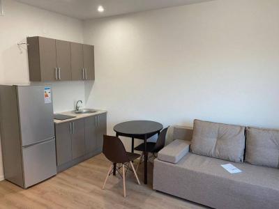Location Appartement LYON-7EME-ARRONDISSEMENT 69007