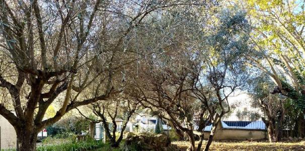 Vente Terrain GALLARGUES-LE-MONTUEUX 30660