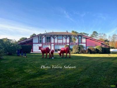 Vente Maison 9 pi�ces SAUBION 40230