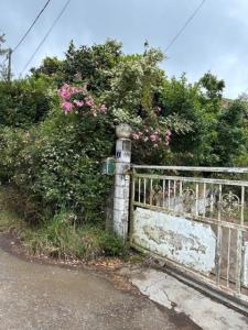 Vente Maison 5 pi�ces PLAINE-DES-CAFRES 97418