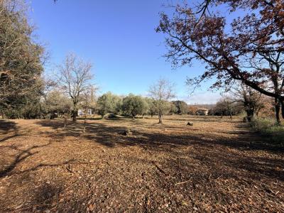 Vente Terrain CRUVIERS-LASCOURS 30360