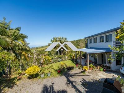 Vente Maison 9 pi�ces SAINT-JOSEPH 97480