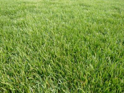 Vente Terrain TRESSES 33370