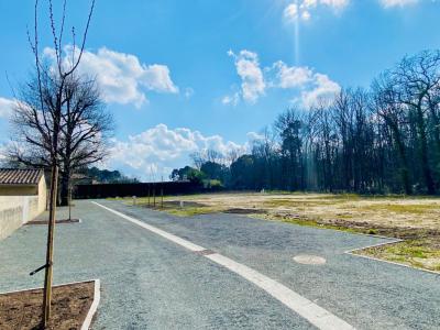 Vente Maison AVENSAN 33480