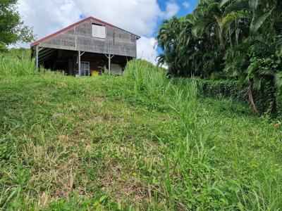 Vente Terrain VAUCLIN 97280