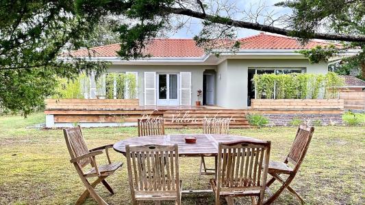 Vente Maison 5 pi�ces MESSANGES 40660