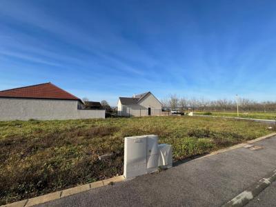 Vente Terrain MONTAGNY-LES-BEAUNE 21200