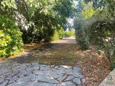 Vente Prestige SAINT-AMANS-DES-COTS 12460