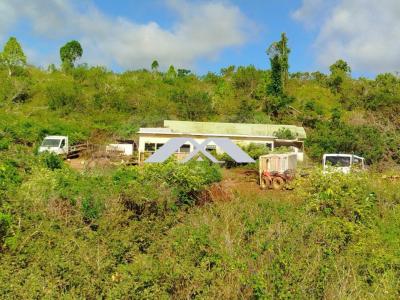 Vente Terrain SAINT-BENOIT 97470