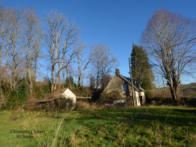 Vente Maison TAUVES 63690