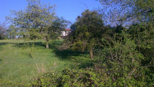 Vente Terrain JOURNANS 01250