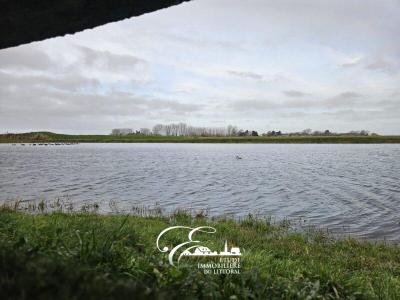 Vente Terrain HOLQUE 59143
