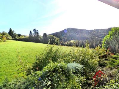 Vente Maison 6 pi�ces LIEZEY 88400