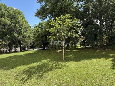 Vente Appartement 3 pi�ces CARBON-BLANC 33560