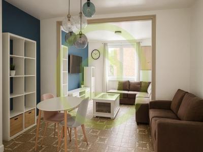 Vente Maison 4 pi�ces METEREN 59270