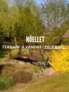 Vente Terrain NOELLET 49520