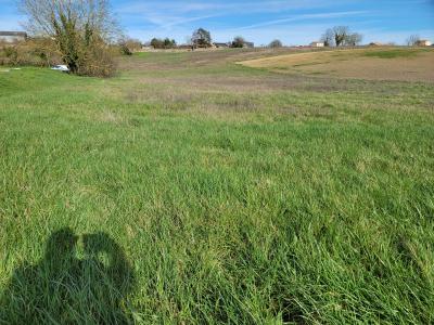 Vente Terrain MIREBEAU 86110