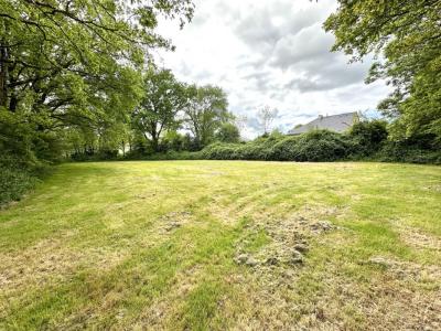 Vente Terrain BLAIN 44130