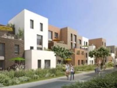 Location Appartement 3 pi�ces CAPINGHEM 59160