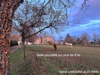 Vente Domaine agricole AIGUEPERSE 63260